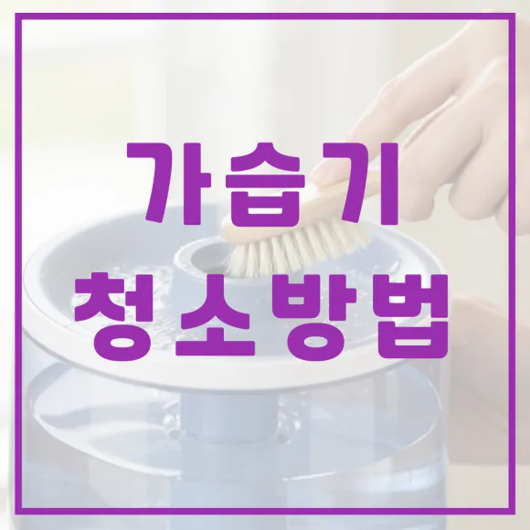 가습기 청소 방법, 습도는 높이고 세균은 없애는 비법